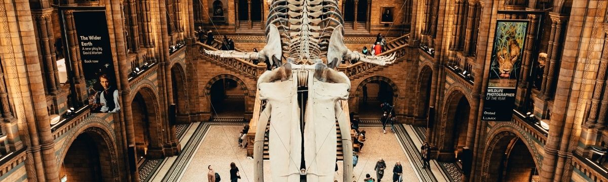 Enjoy a virtual museum visit