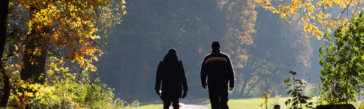 Best Autumn Walks Near London and the South West