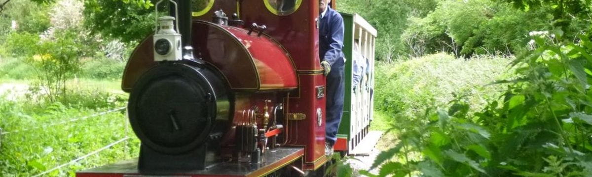 Visit the Hampton & Kempton Waterworks Railway with SWR