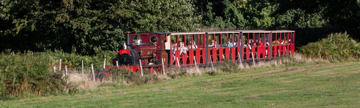 Visit Hollyborne Steam in the Country with SWR