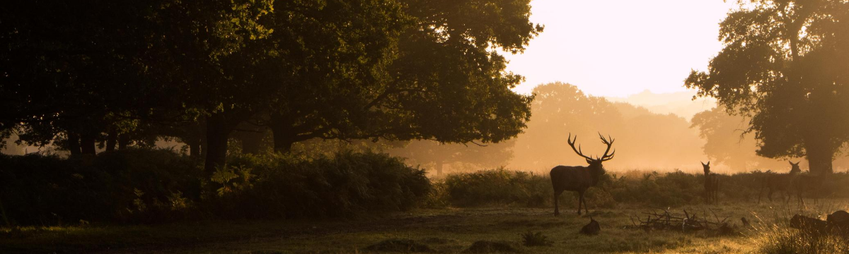 Hidden things to do in Richmond