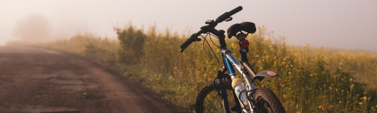 Enjoy King Alfred's Way by train