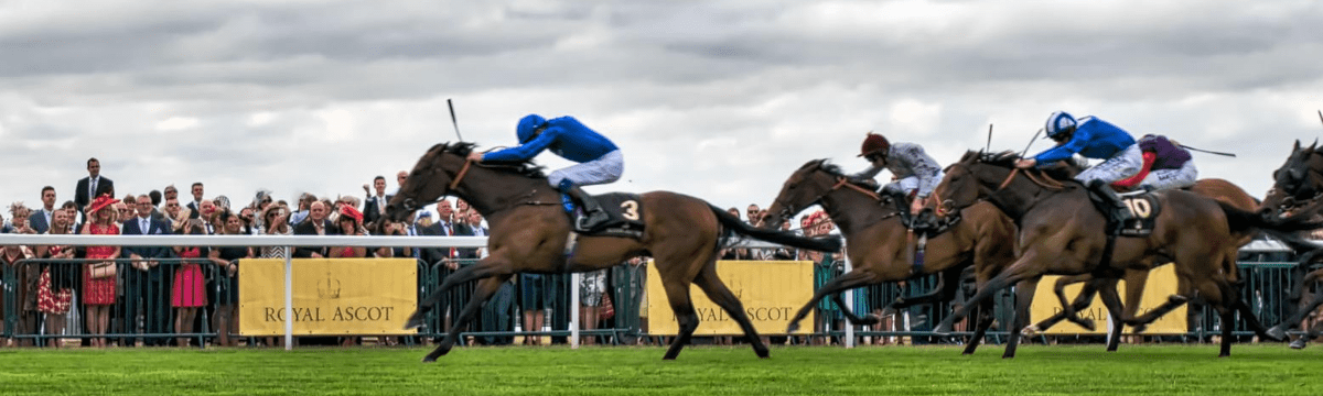 Racecourses on the network