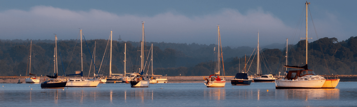 Boats in Poole Harbour. All have their sails down.
