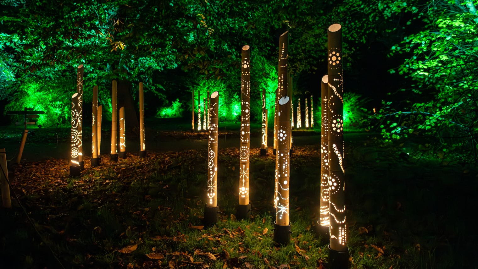 Installation Electric bamboo shows lights on bamboo