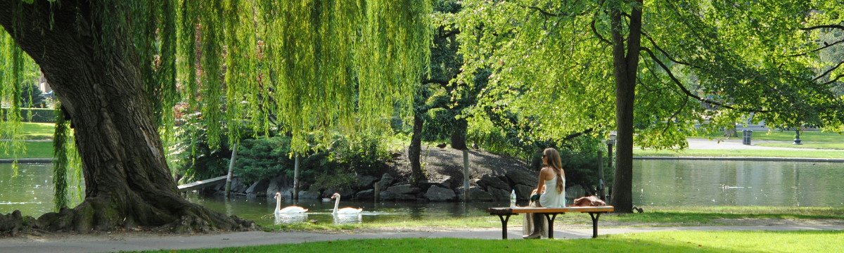 woman sit in a park 