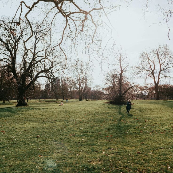 Regent's Park in London