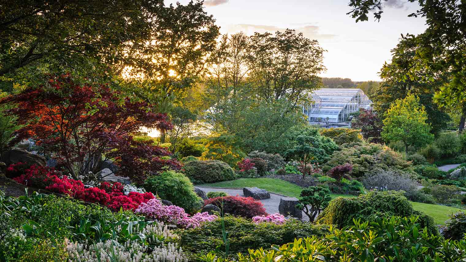 RHS Wisley Glasshouse