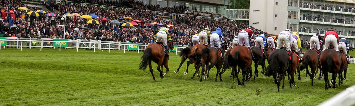 Sandown Park Racecourse