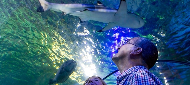 Sea Life Centre Weymouth