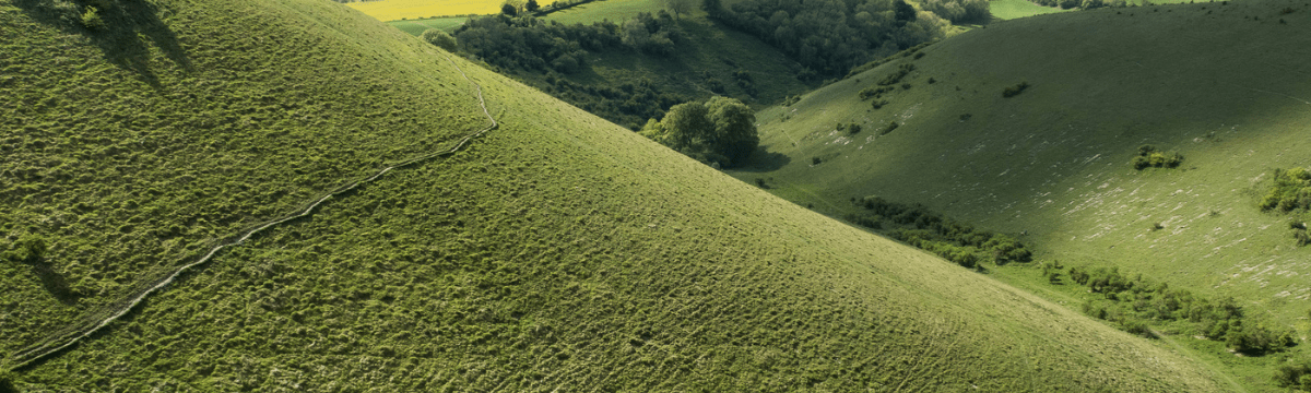 Buster Hill in South Downs