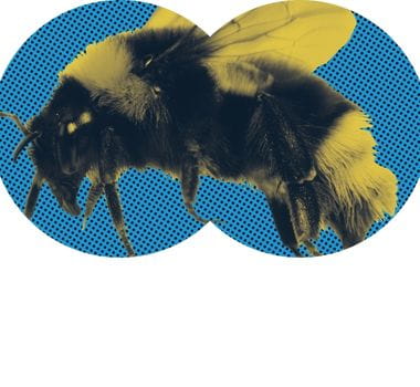 iSpy looking out for nature across South Western Railway stations