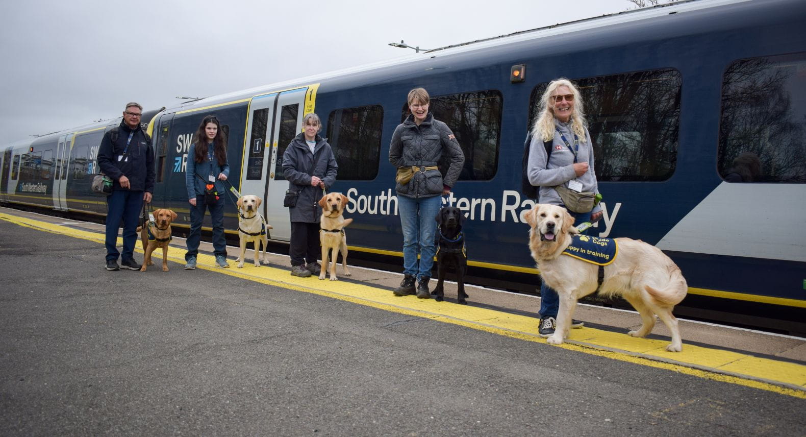 Five Guide Dog puppies and handlers lined up along a station platform beside a train