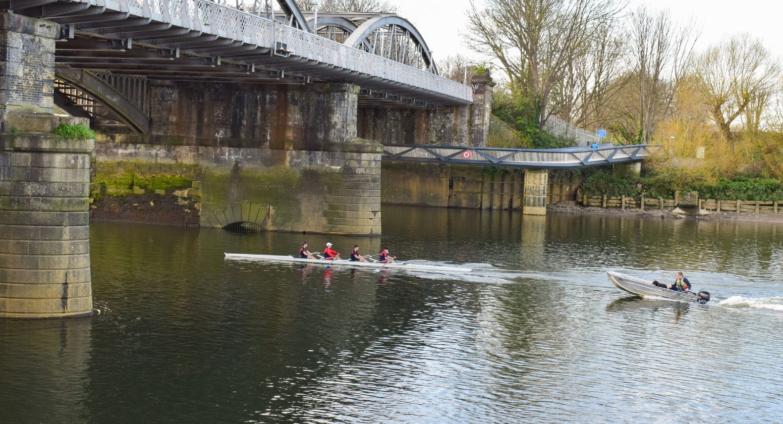 Rowers passing under Barnes Bridge