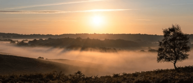 Things to do SWR Blog