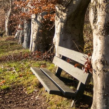 A park bench