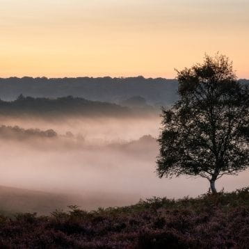 Best days out away from London