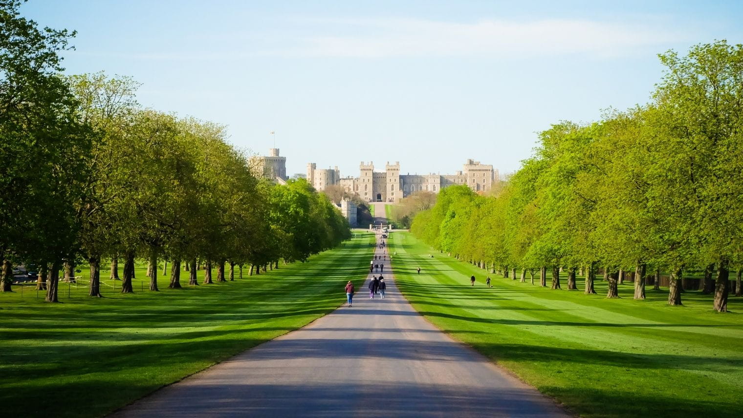 A view down the Long Walk to Windsor Castle on a summer's day