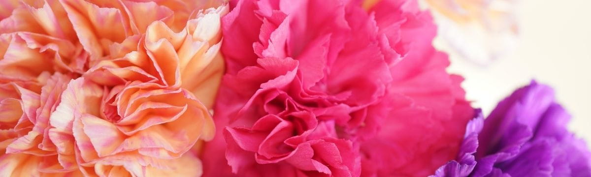 Plan an unforgettable mothers day with SWR