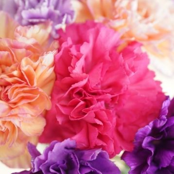 Plan an unforgettable mothers day with SWR