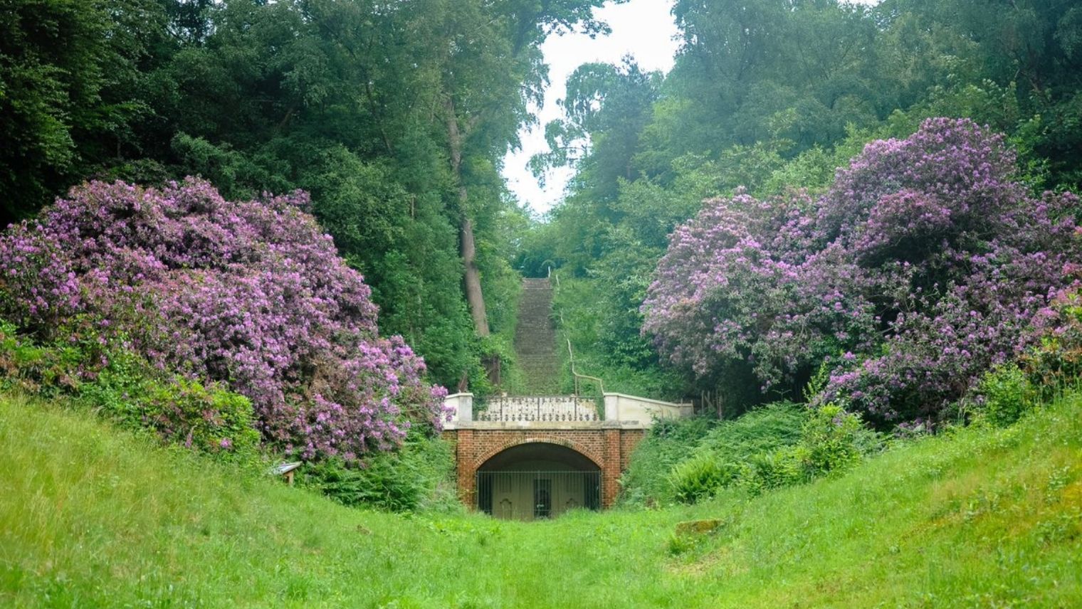 The Flint Steps at the Betchworth Estate