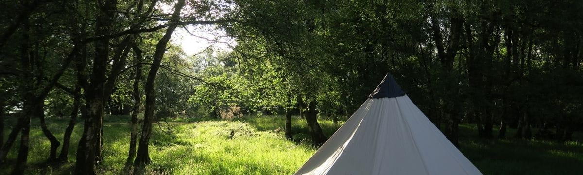 Find the best scenic camping spots with SWR