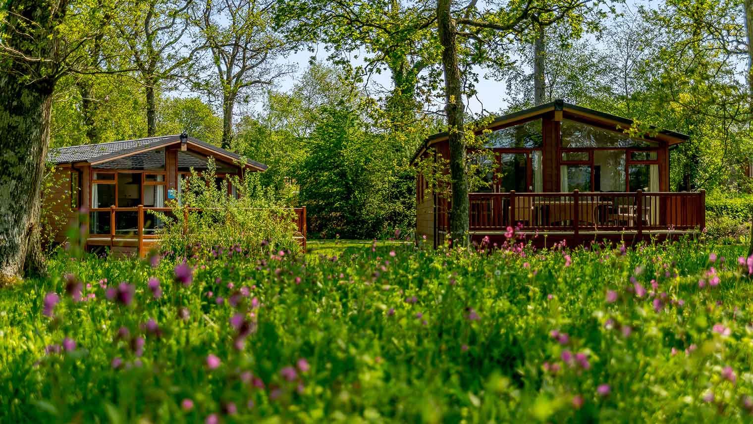 Wareham Forest Lodge