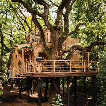 Mallinsons woodland retreat