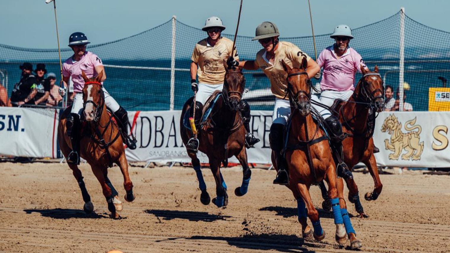 Polo players at Sandbanks Polo tournament