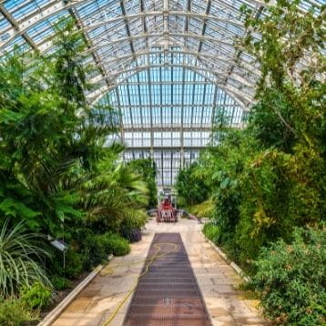 Alternatives to the Hampton Court Flower Show