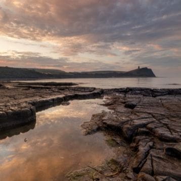 Find the best places to see marine wildlife with South Western Railway