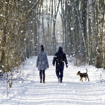 Find the best winter walks with SWR
