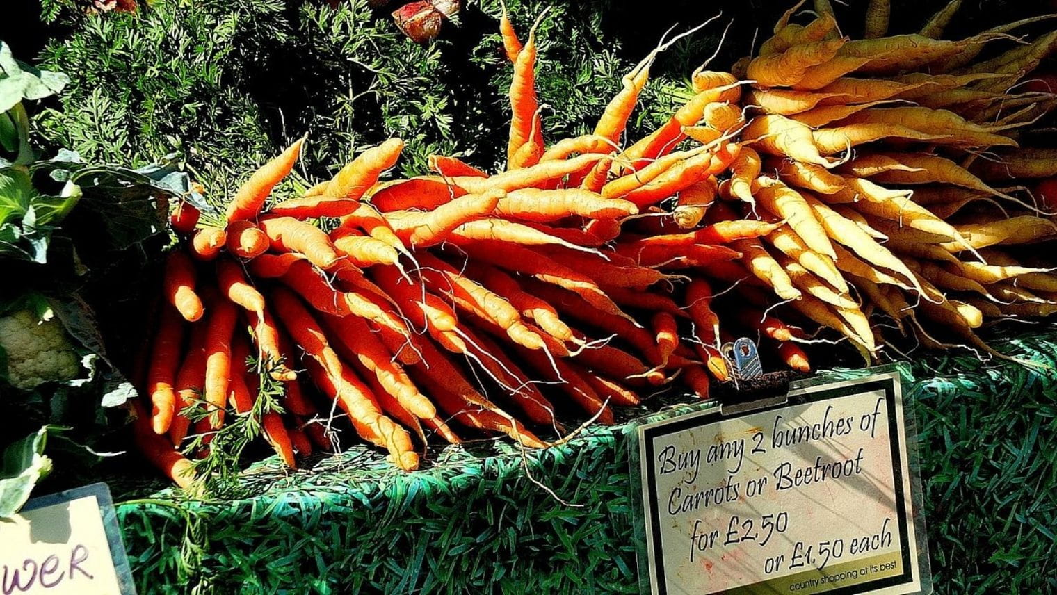 Carrots at Winchester Farmers Market