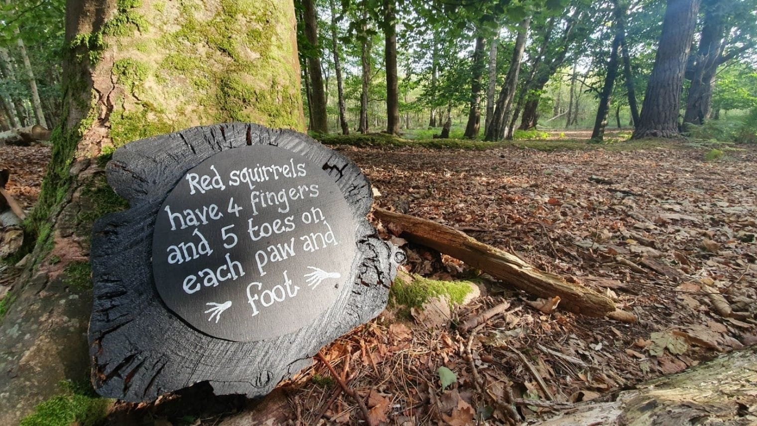 Squirrel information sign at Brownsea Island
