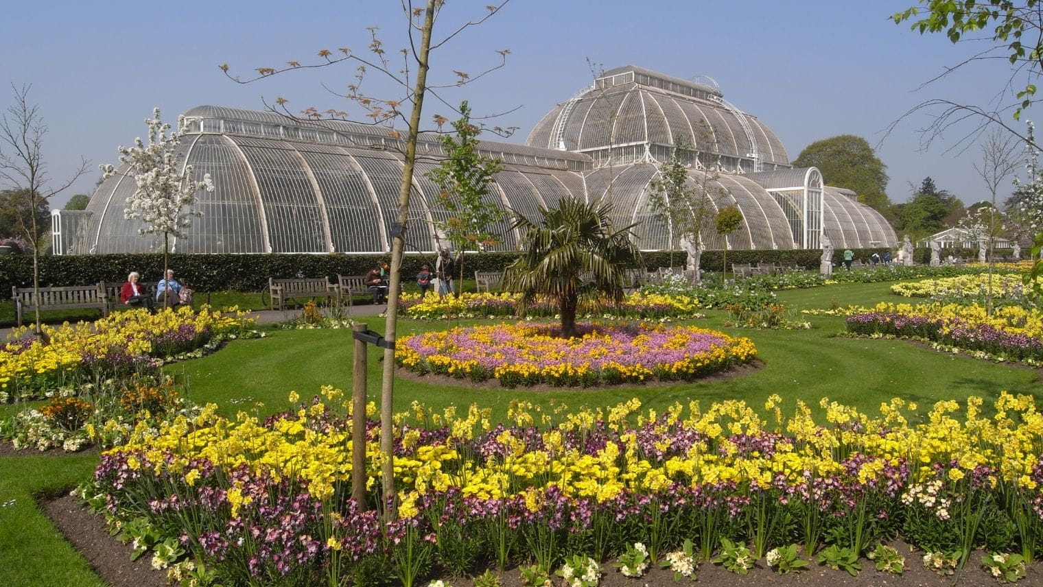Daffodils and spring flowers at Kew Gardens