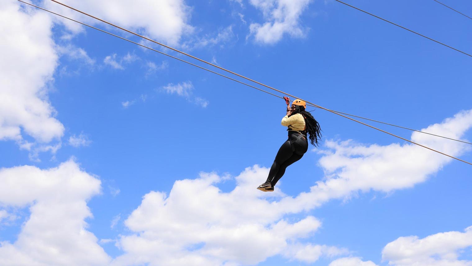 Aerial adventure late autumn