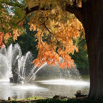 late autumn park fountain lake view