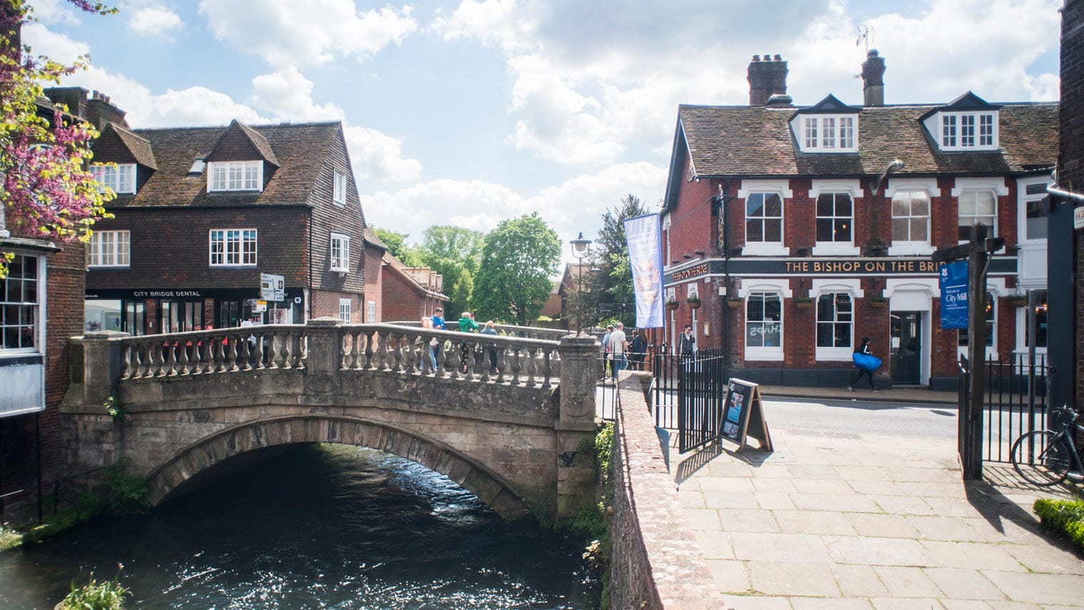Bishop on the Bridge