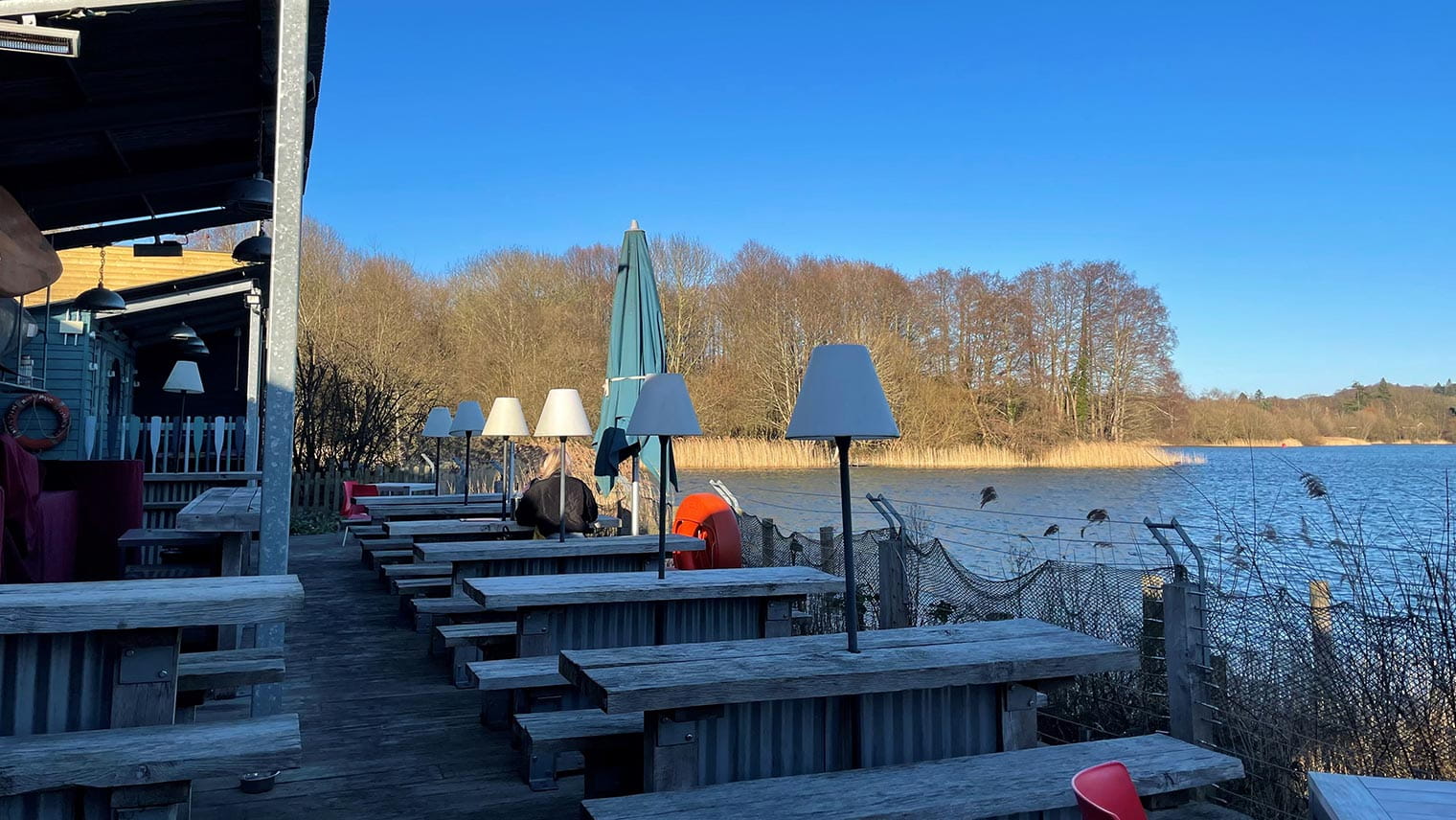 Kingfisher on the Quay