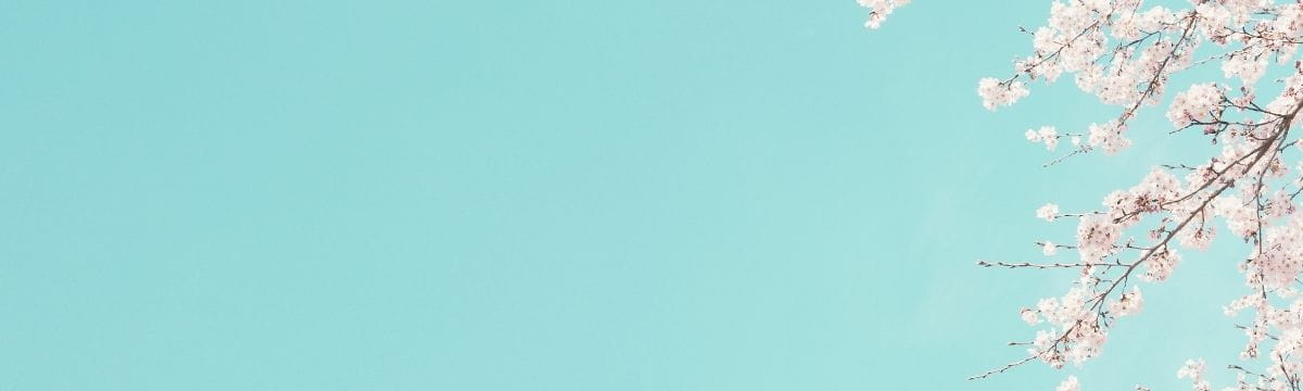 Find the best places to see cherry blossom with SWR