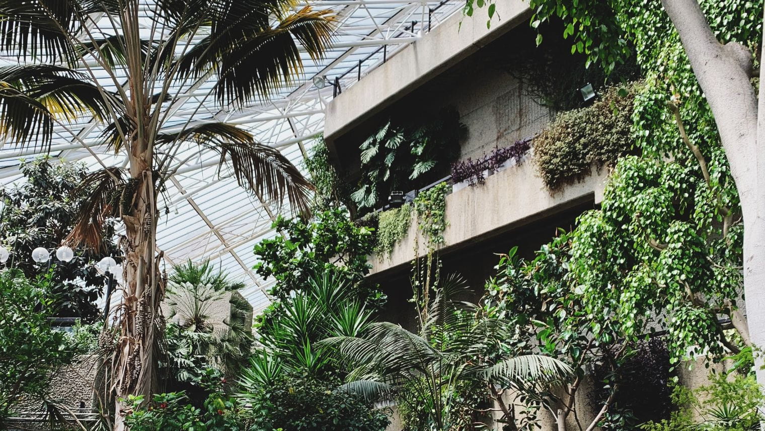 Barbican Conservatory the second biggest conservatory in London