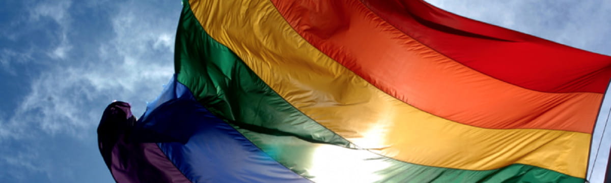 Image of a pride flag