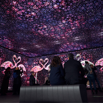 flamingo art installation