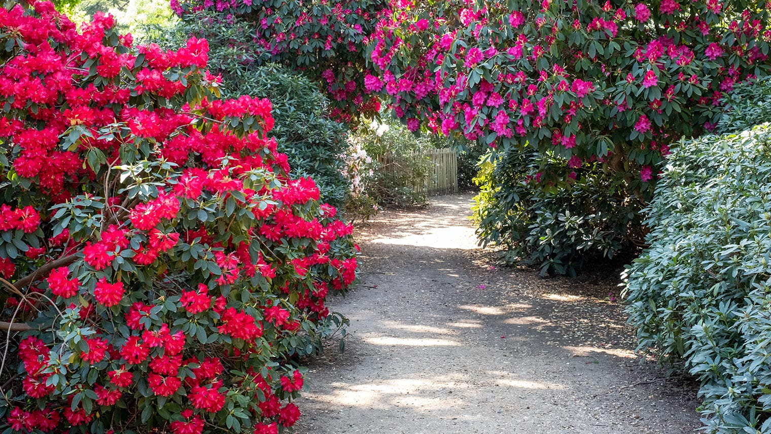 Langley Park Gardens