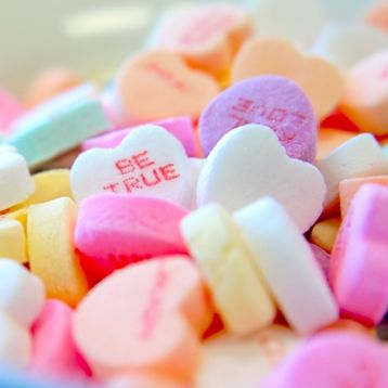 Whats on in February