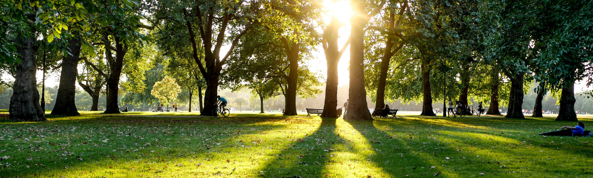 A day out at Hyde Park