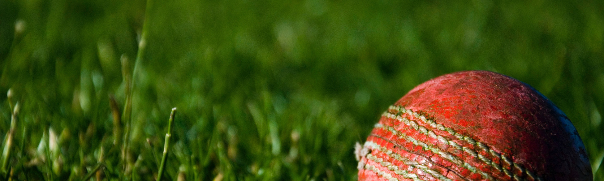 A cricket ball on grass