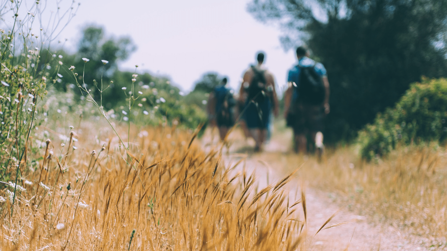 An image of 3 people hiking