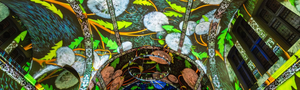 exhibition modern experiance