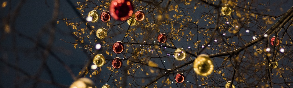 Things to do in Exeter for Christmas